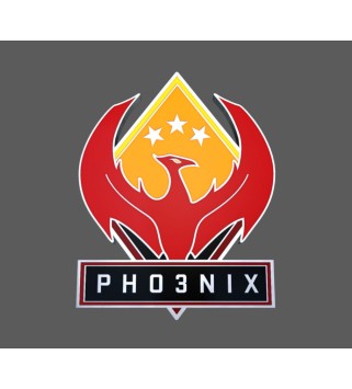CS:GO - Series 2 - Phoenix Collectible Pin Steam Key GLOBAL